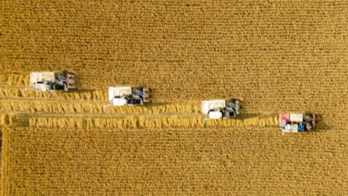 ����W�u�������Zʳ��ȫ���������o����Z�}��δ��